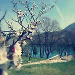 Nyaraló Mila *