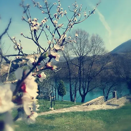 Hébergement de vacances Mila *